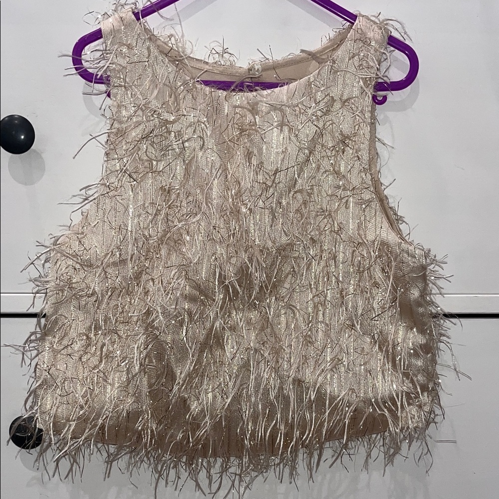 Zara Kids Beige Feathered Top